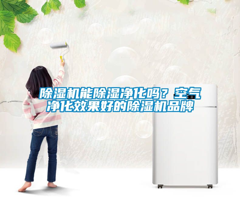 除濕機(jī)能除濕凈化嗎<div   id=