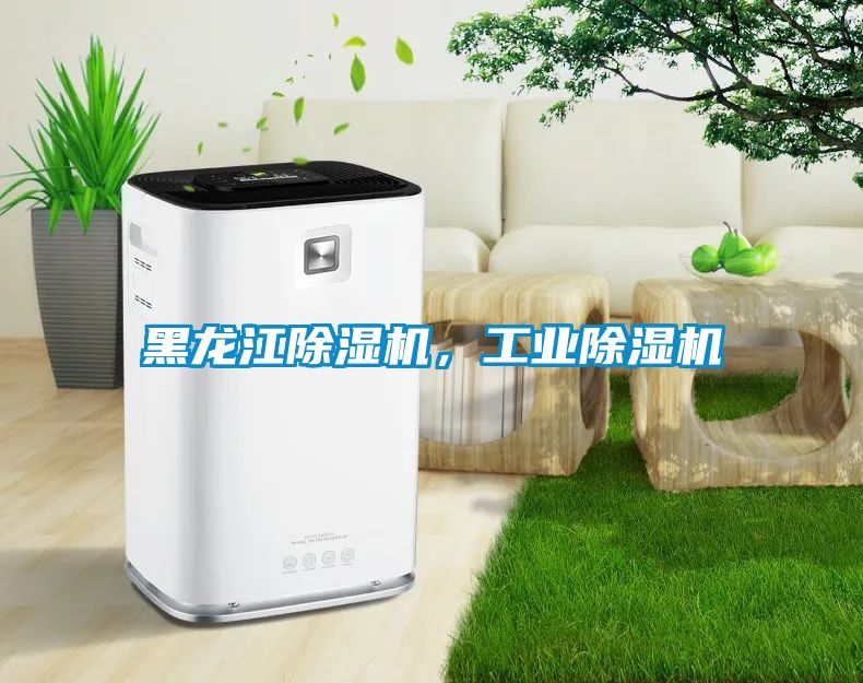 黑龍江除濕機(jī)<div   id=