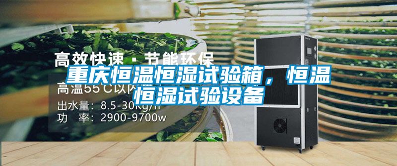 重慶恒溫恒濕試驗箱<div   id=