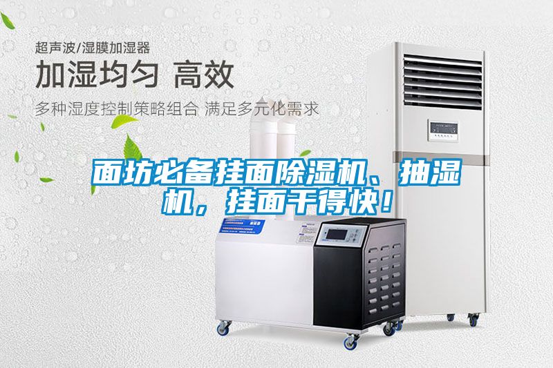 面坊必備掛面除濕機、抽濕機<div   id=