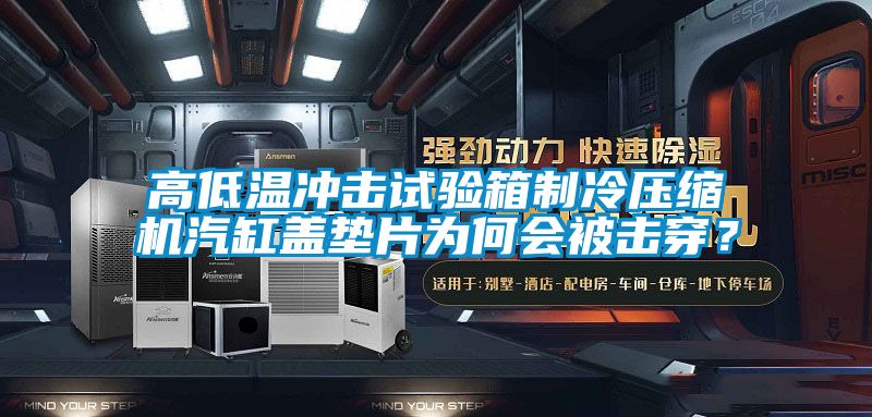 高低溫沖擊試驗(yàn)箱制冷壓縮機(jī)汽缸蓋墊片為何會(huì)被擊穿<div   id=
