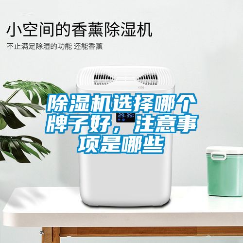 除濕機(jī)選擇哪個(gè)牌子好,注意事項(xiàng)是哪些