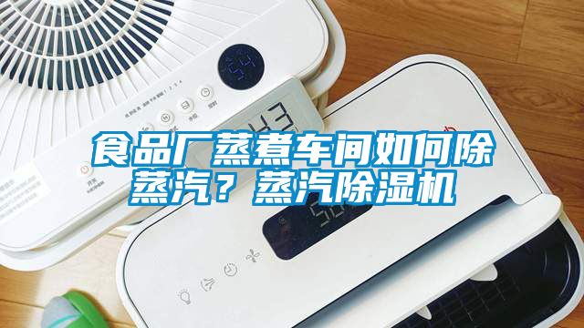 食品廠蒸煮車間如何除蒸汽<div   id=
