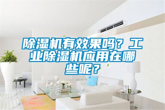 除濕機(jī)有效果嗎<div   id=