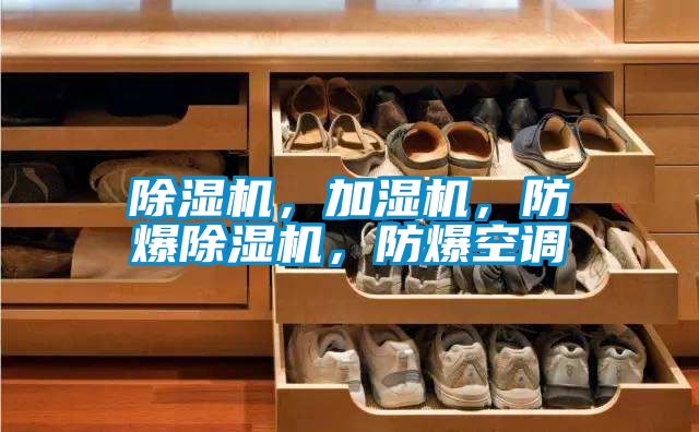 除濕機，加濕機<div   id=