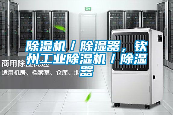 除濕機(jī)／除濕器<div   id=