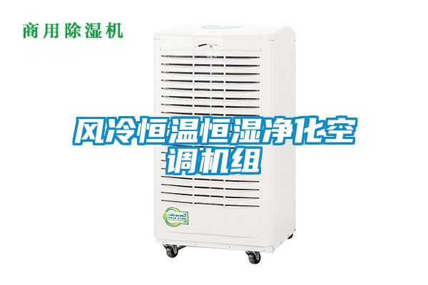 風冷恒溫恒濕凈化空調(diào)機組