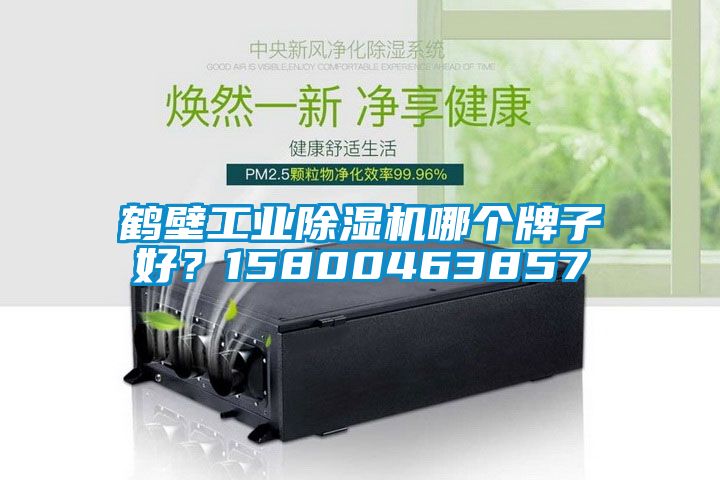 鶴壁工業(yè)除濕機(jī)哪個(gè)牌子好<div   id=
