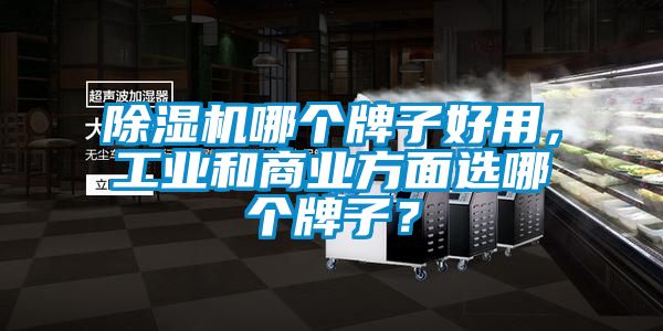 除濕機(jī)哪個(gè)牌子好用<div   id=