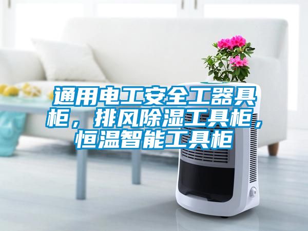 通用電工安全工器具柜<div   id=