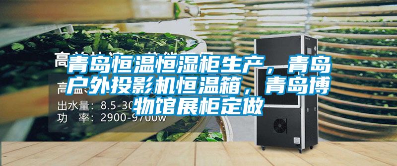 青島恒溫恒濕柜生產(chǎn)<div   id=