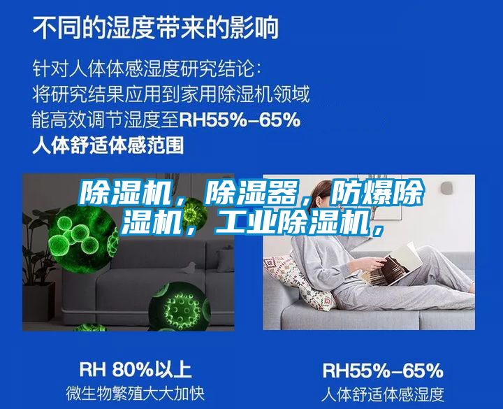 除濕機(jī)，除濕器<div   id=