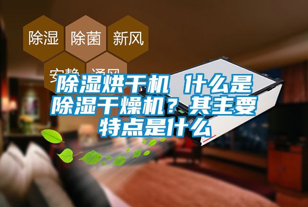 除濕烘干機(jī) 什么是除濕干燥機(jī)<div   id=