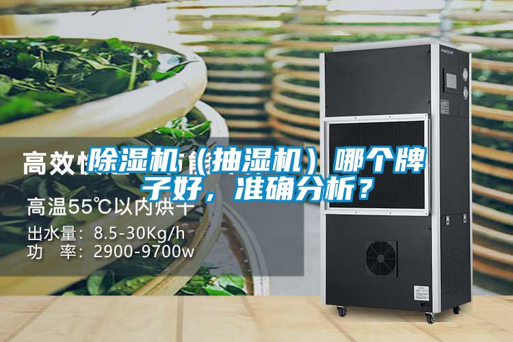 除濕機(jī)（抽濕機(jī)）哪個(gè)牌子好，準(zhǔn)確分析<div   id=