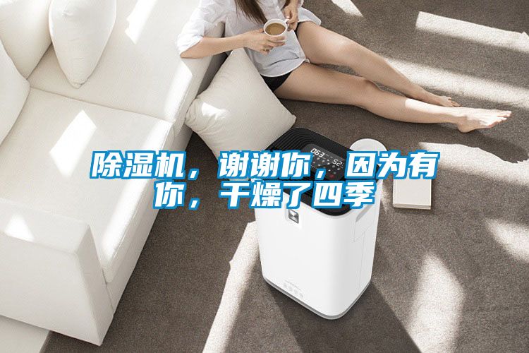 除濕機<div   id=