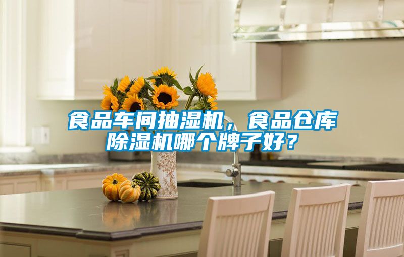 食品車(chē)間抽濕機(jī)，食品倉(cāng)庫(kù)除濕機(jī)哪個(gè)牌子好？