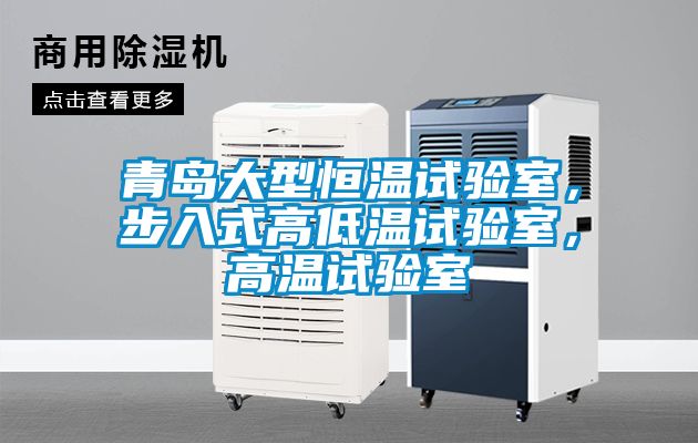 青島大型恒溫試驗(yàn)室<div   id=