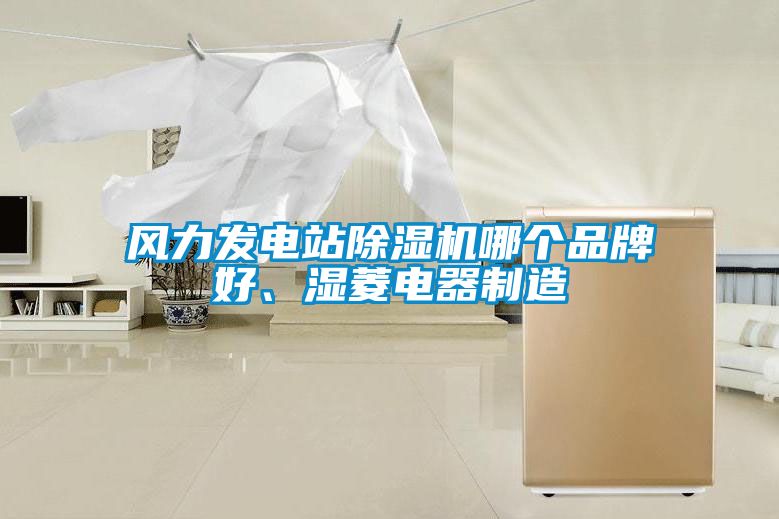 風(fēng)力發(fā)電站除濕機哪個品牌好<div   id=