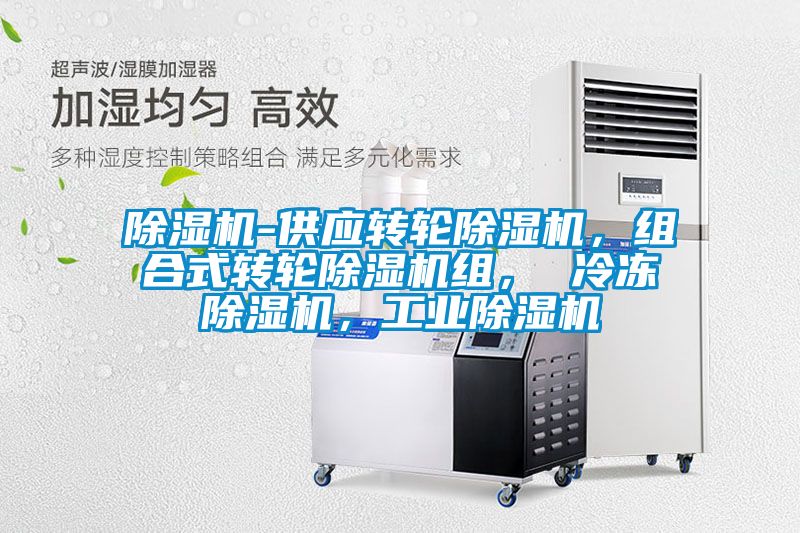 除濕機(jī)-供應(yīng)轉(zhuǎn)輪除濕機(jī)<div   id=
