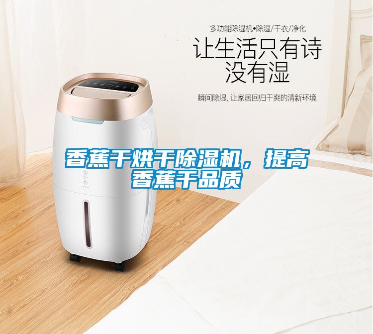 香蕉干烘干除濕機<div   id=
