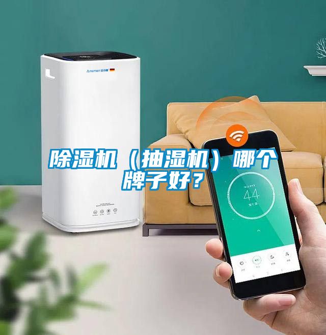除濕機(jī)（抽濕機(jī)）哪個(gè)牌子好<div   id=