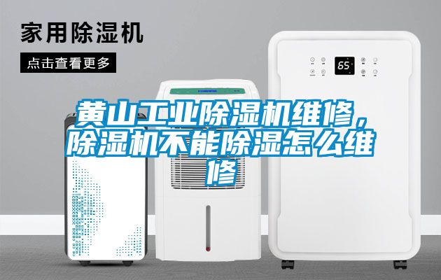 黃山工業(yè)除濕機(jī)維修<div   id=