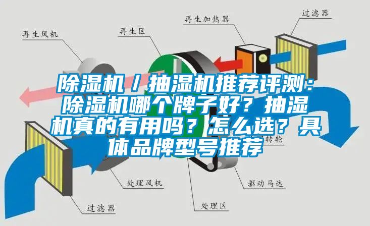 除濕機(jī)／抽濕機(jī)推薦評(píng)測：除濕機(jī)哪個(gè)牌子好？抽濕機(jī)真的有用嗎<div   id=