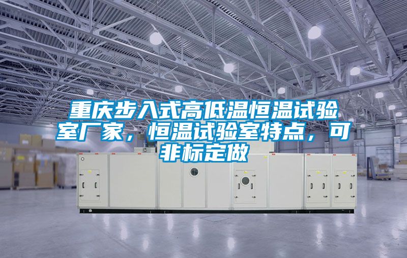 重慶步入式高低溫恒溫試驗室廠家<div   id=