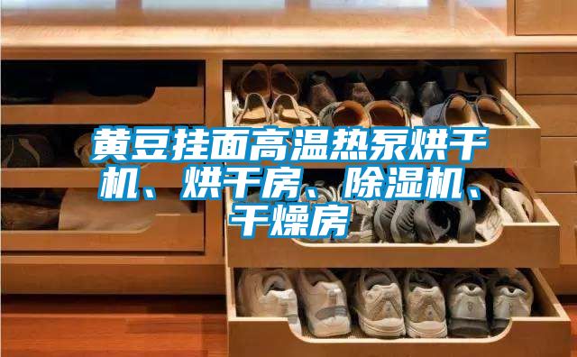 黃豆掛面高溫熱泵烘干機<div   id=