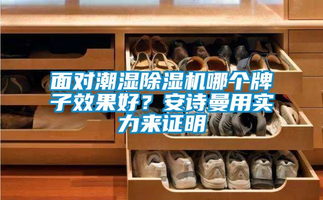 面對潮濕除濕機哪個牌子效果好<div   id=