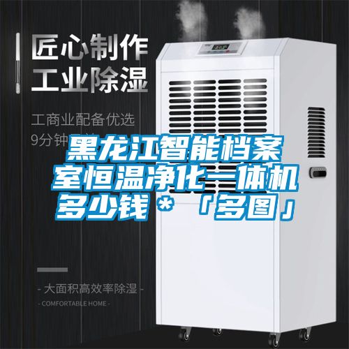 黑龍江智能檔案室恒溫凈化一體機(jī)多少錢*「多圖」