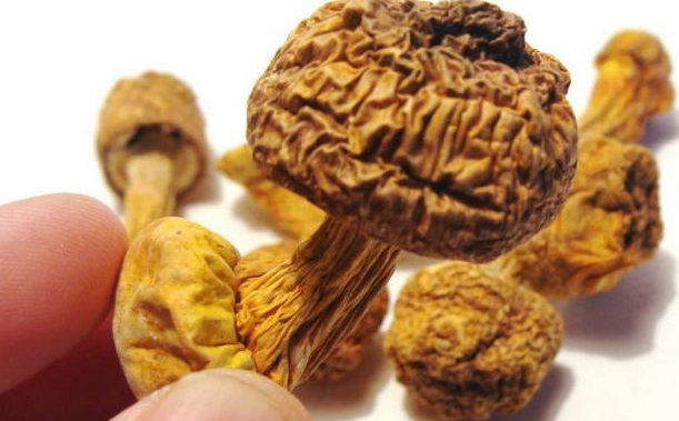 巴西菇、姬松茸烘干機(jī)-怎樣烘干色澤好且菇體褶片完整<div   id=