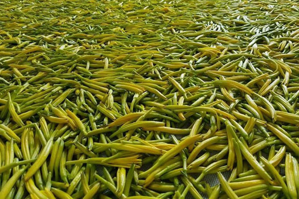 無硫金針菜烘干如何保持品相<div   id=