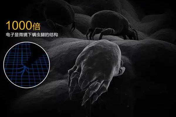 螨蟲高發(fā)季<div   id=